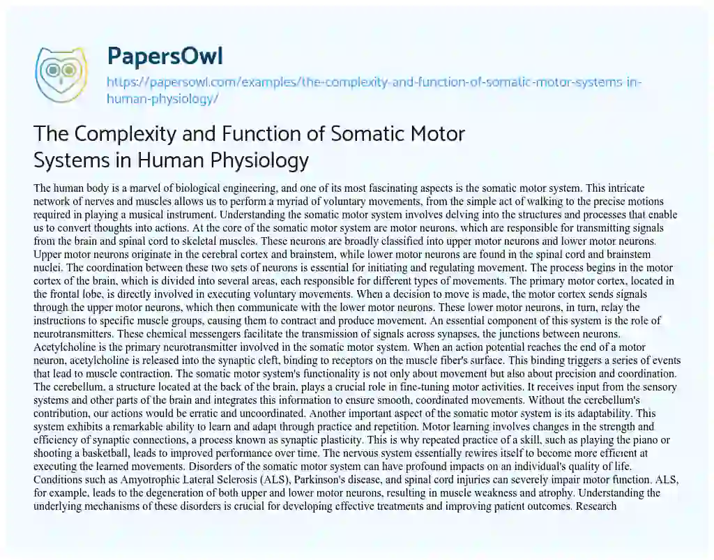 Essay on The Complexity and Function of Somatic Motor Systems in Human Physiology