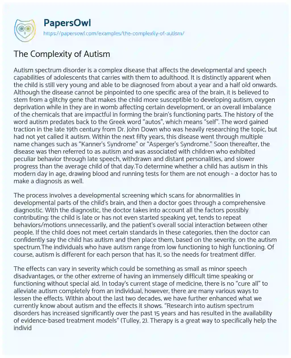 Essay on The Complexity of Autism