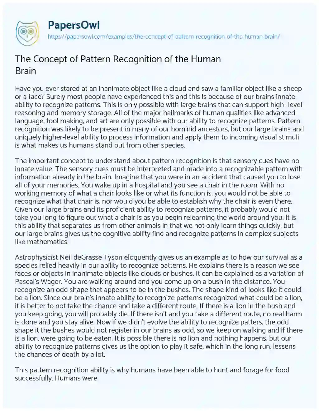Essay on The Concept of Pattern Recognition of the Human Brain