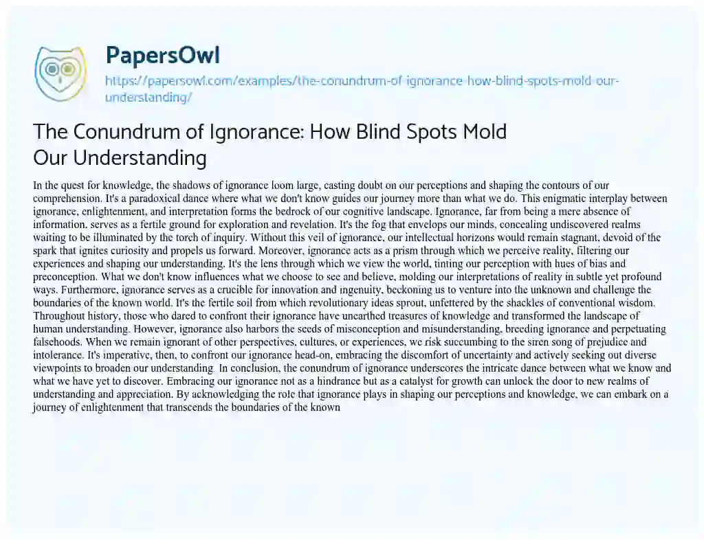 Essay on The Conundrum of Ignorance: how Blind Spots Mold our Understanding