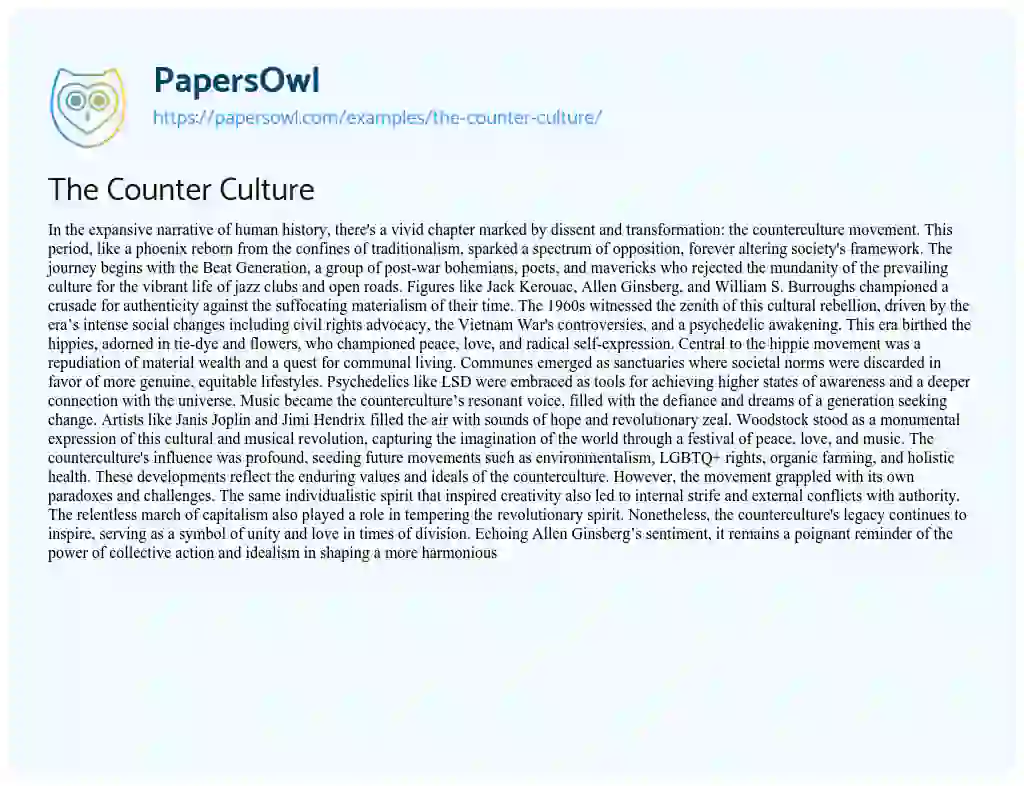 Essay on The Counter Culture