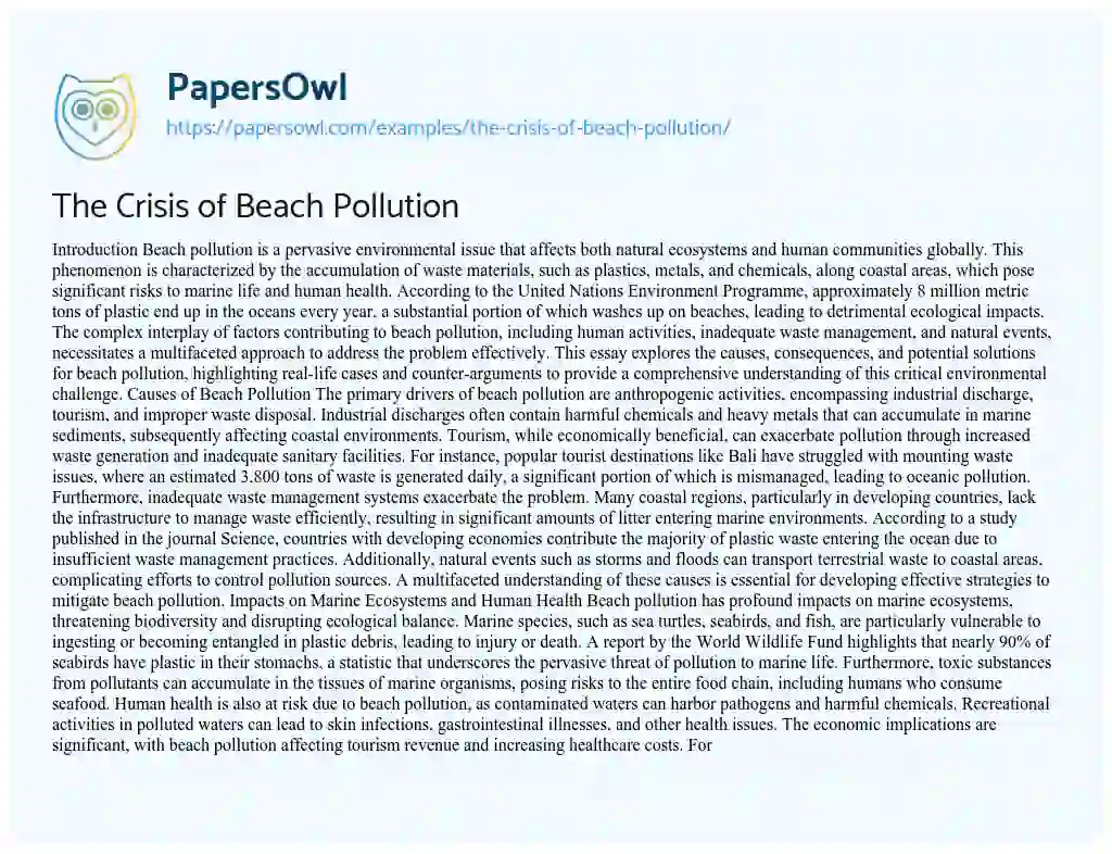 Essay on The Crisis of Beach Pollution