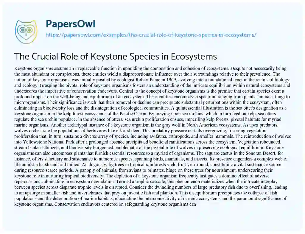 Essay on The Crucial Role of Keystone Species in Ecosystems