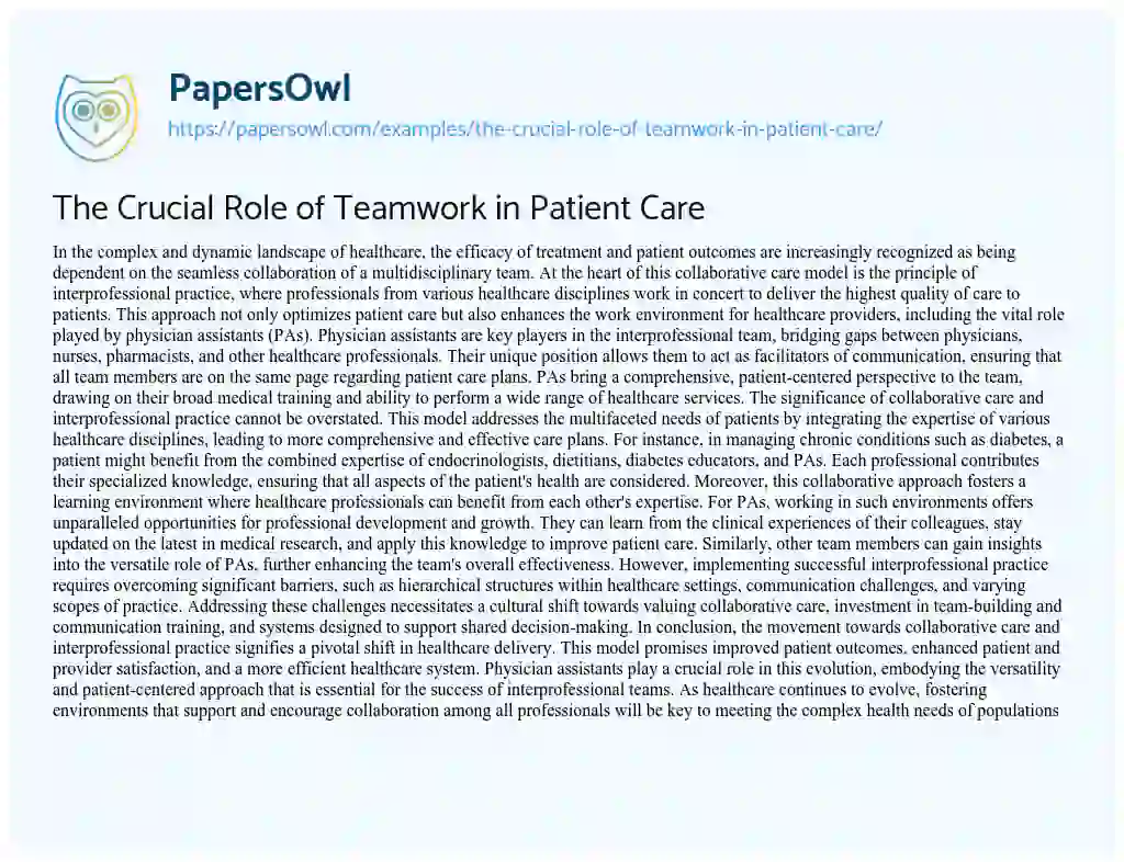 Essay on The Crucial Role of Teamwork in Patient Care