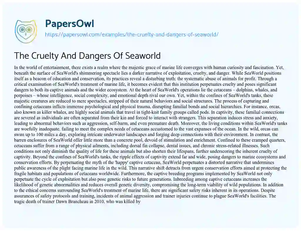 Essay on The Cruelty and Dangers of Seaworld