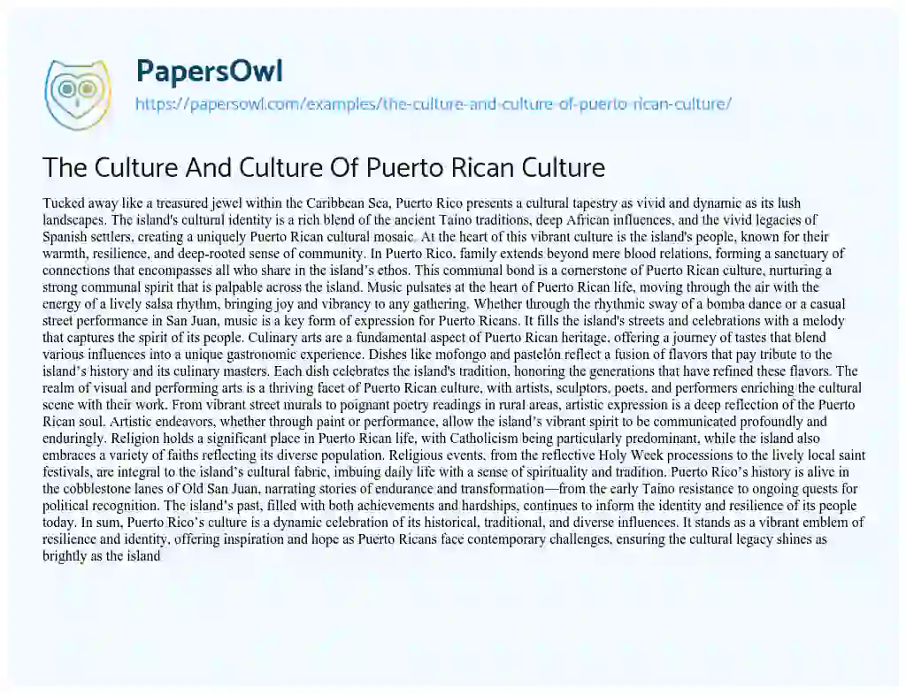 Essay on The Culture and Culture of Puerto Rican Culture