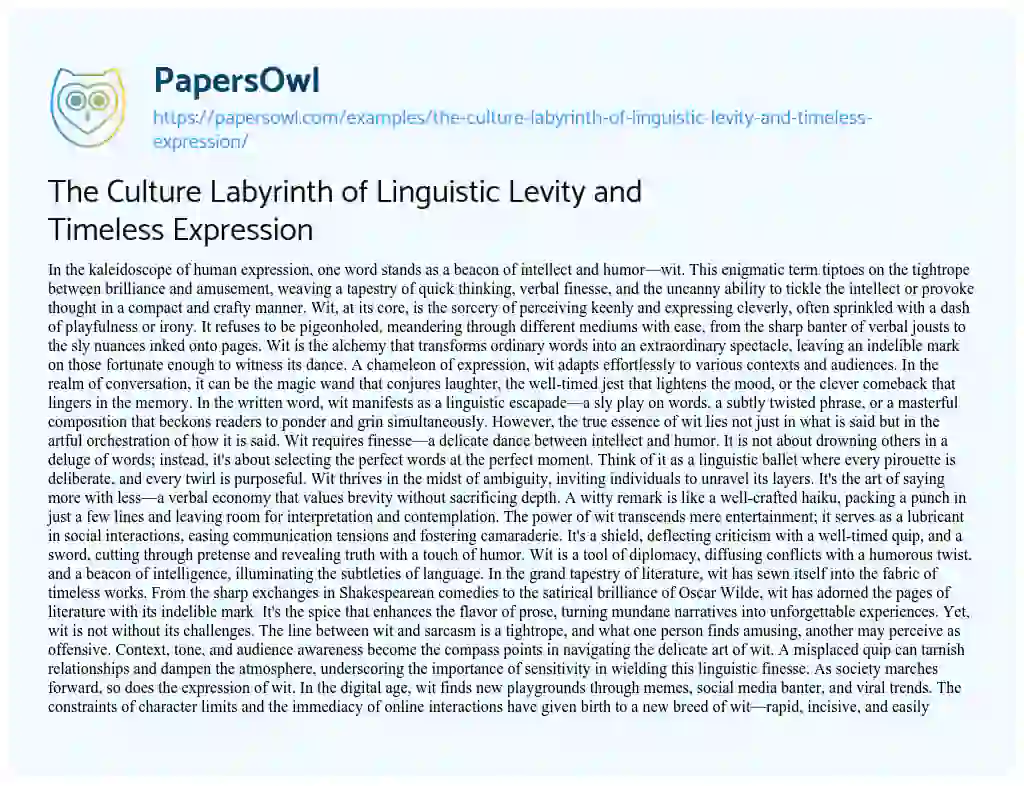 Essay on The Culture Labyrinth of Linguistic Levity and Timeless Expression