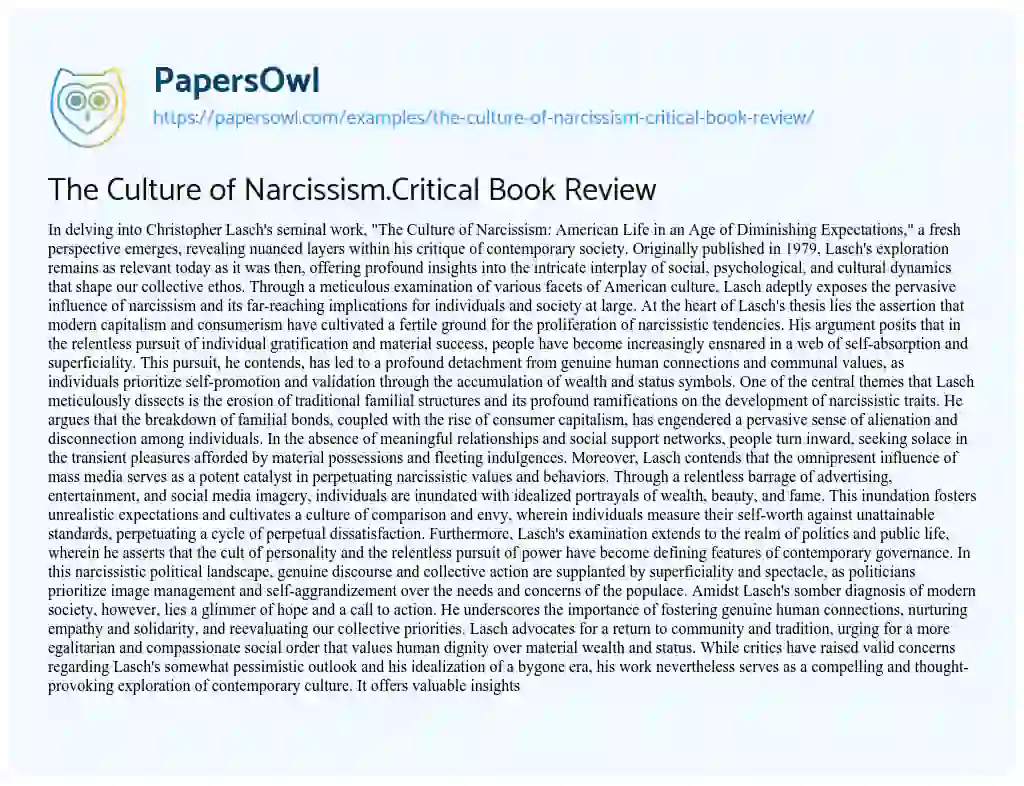 Essay on The Culture of Narcissism.Critical Book Review