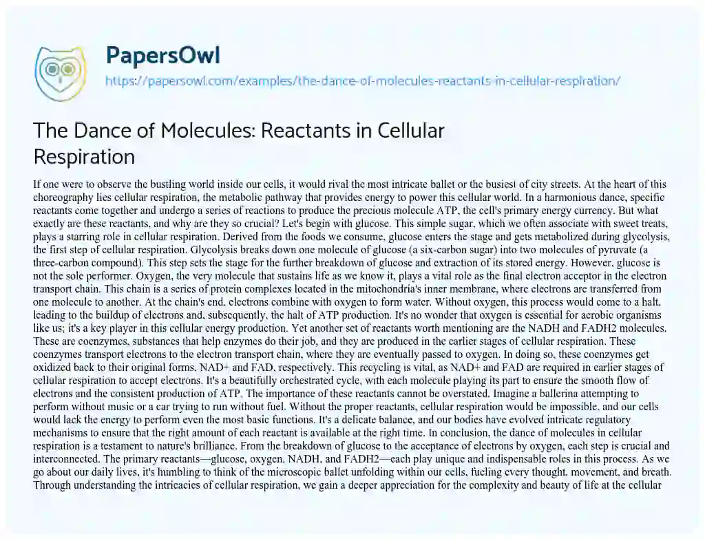 Essay on The Dance of Molecules: Reactants in Cellular Respiration
