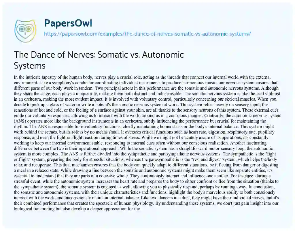 Essay on The Dance of Nerves: Somatic Vs. Autonomic Systems
