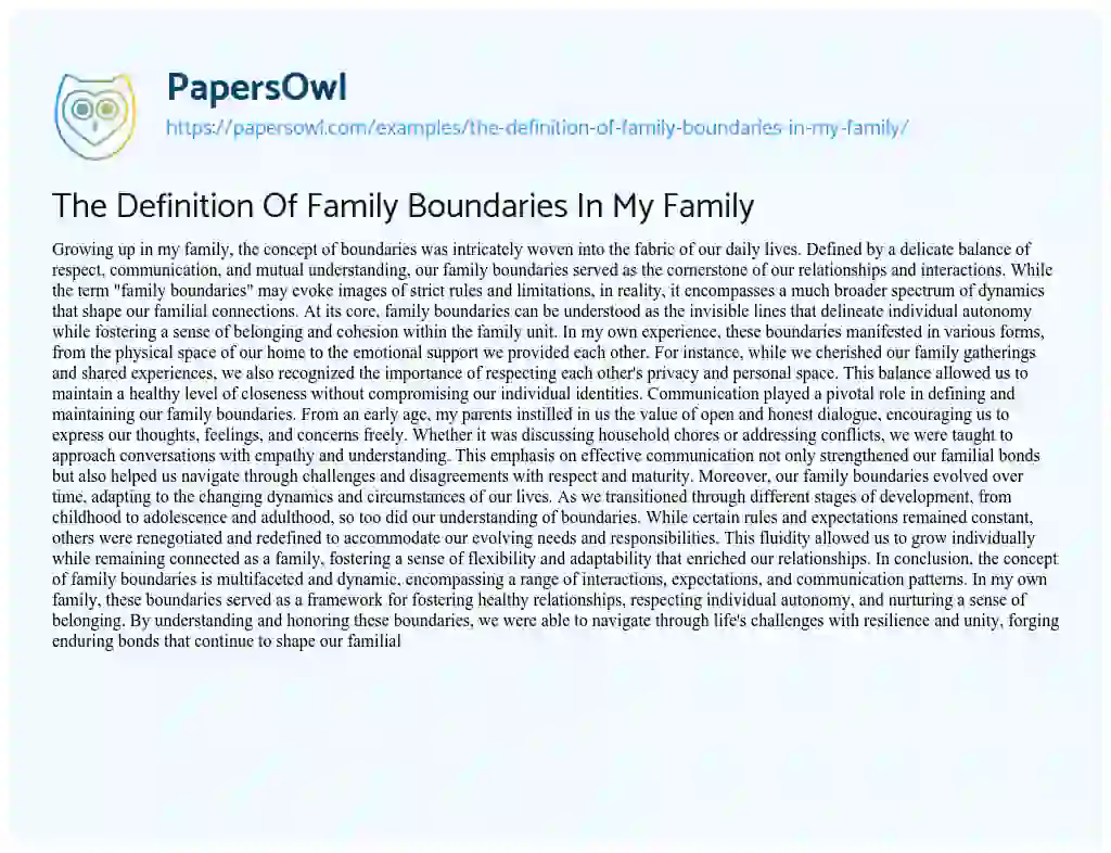 Essay on The Definition of Family Boundaries in my Family