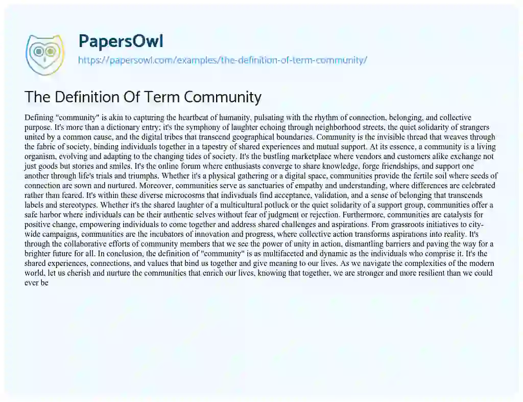 Essay on The Definition of Term Community