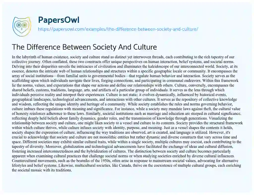 Essay on The Difference between Society and Culture
