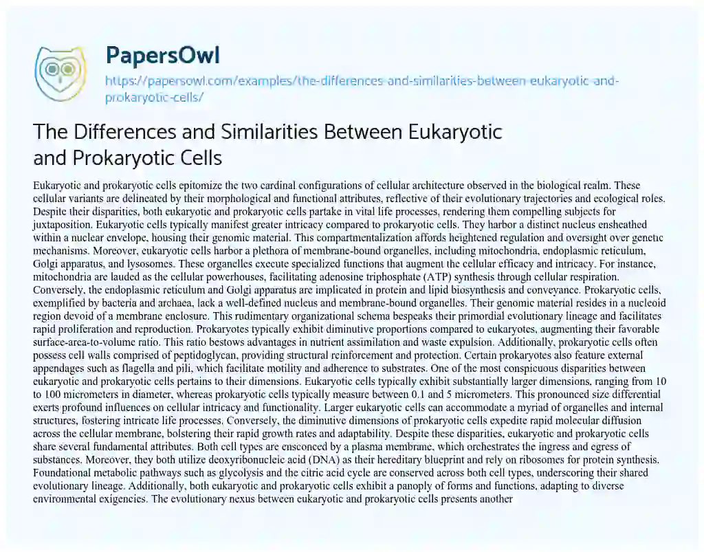 Essay on The Differences and Similarities between Eukaryotic and Prokaryotic Cells