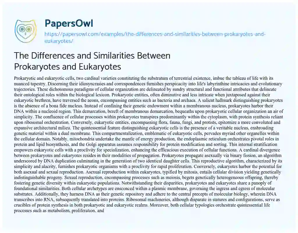 Essay on The Differences and Similarities between Prokaryotes and Eukaryotes