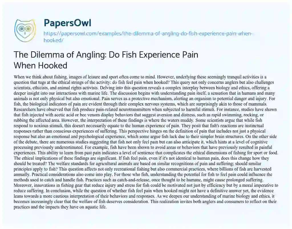 Essay on The Dilemma of Angling: do Fish Experience Pain when Hooked