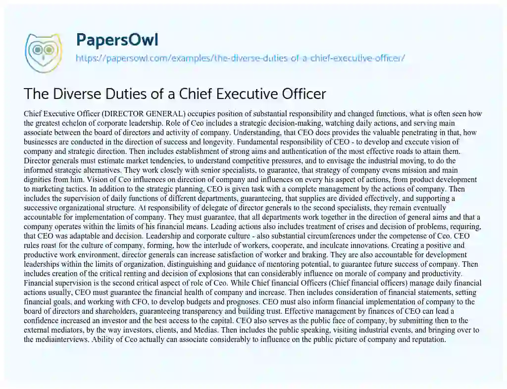 Essay on The Diverse Duties of a Chief Executive Officer