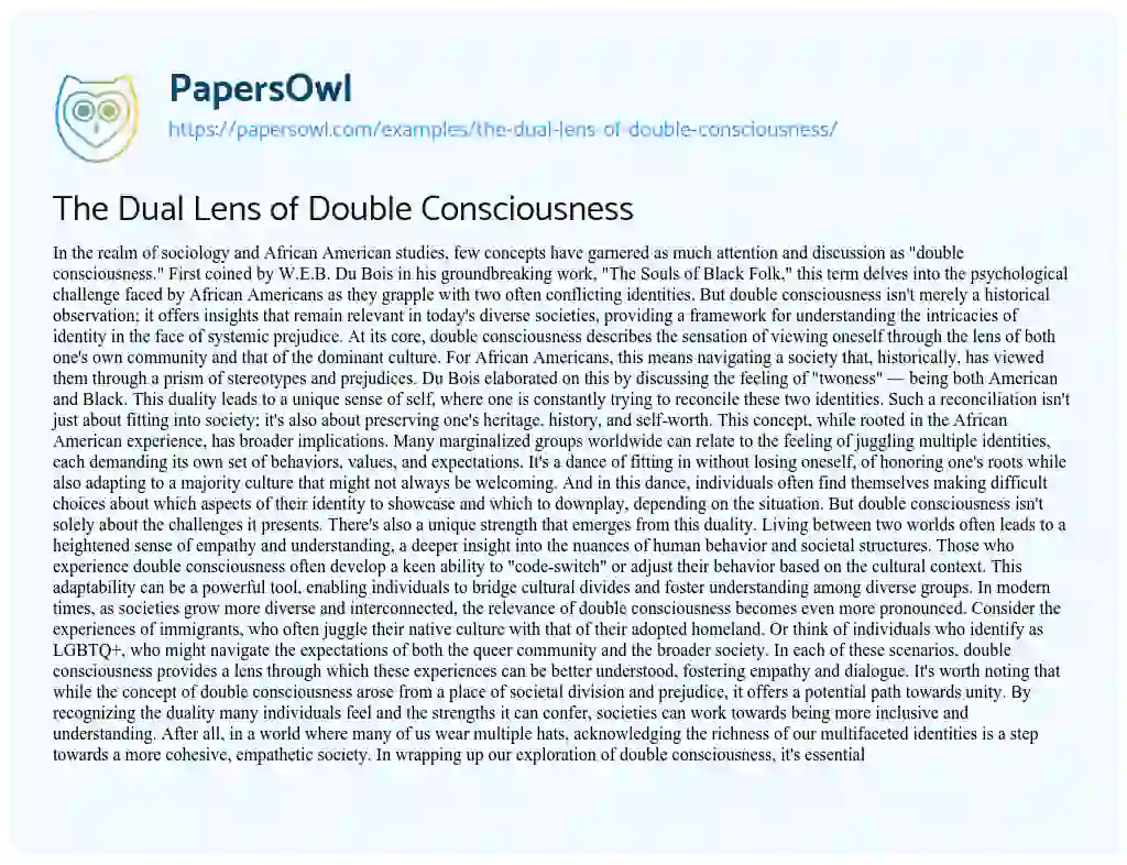 Essay on The Dual Lens of Double Consciousness