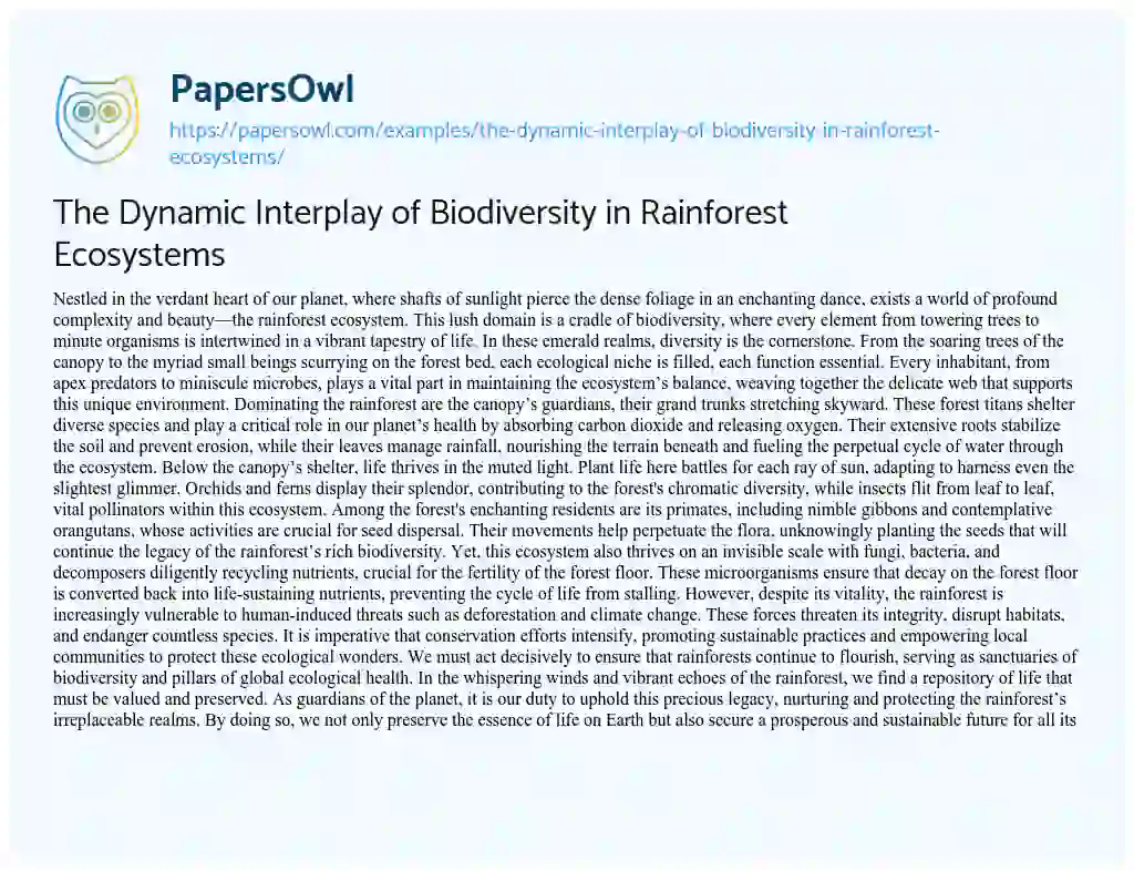 Essay on The Dynamic Interplay of Biodiversity in Rainforest Ecosystems