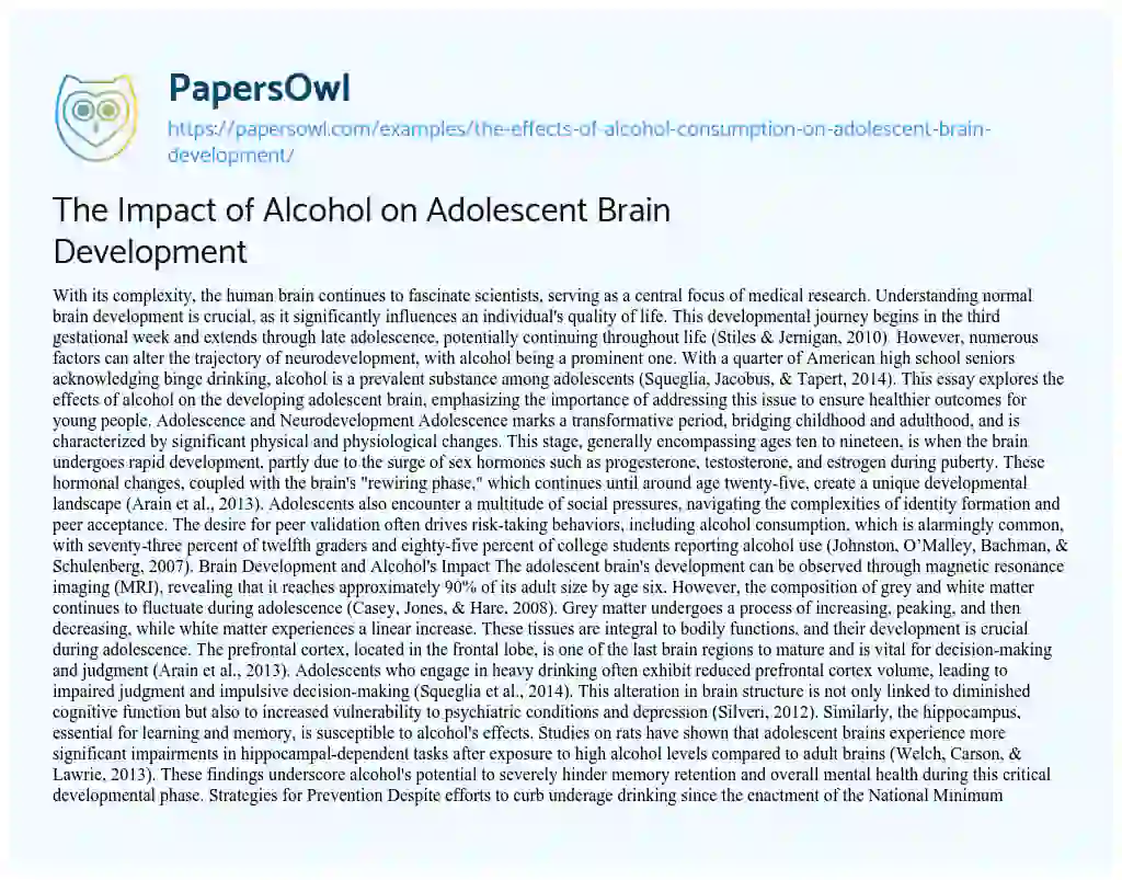 Essay on The Effects of Alcohol Consumption on Adolescent Brain Development