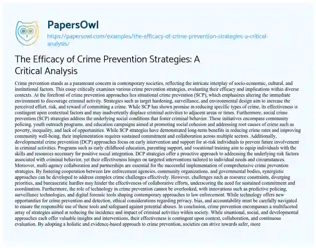 Essay on The Efficacy of Crime Prevention Strategies: a Critical Analysis