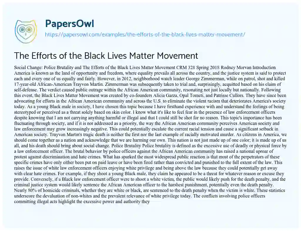 Essay on The Efforts of the Black Lives Matter Movement