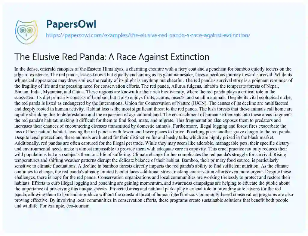 Essay on The Elusive Red Panda: a Race against Extinction