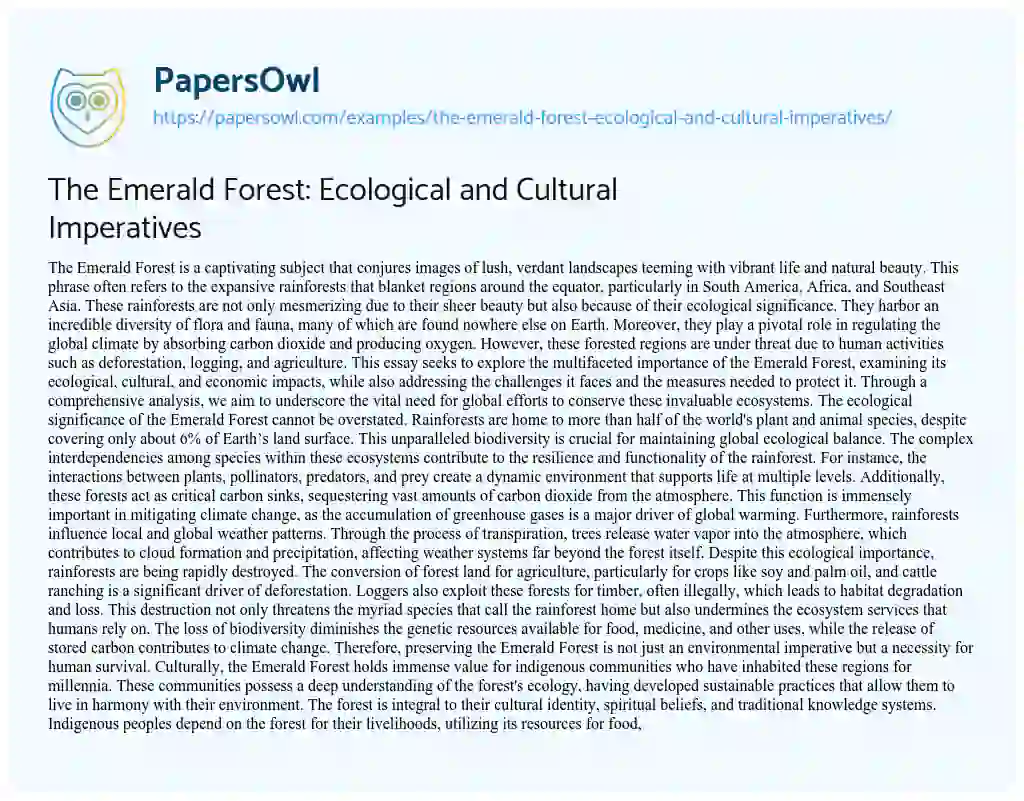 Essay on The Emerald Forest: Ecological and Cultural Imperatives