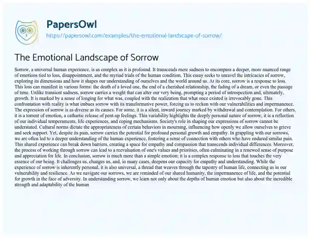 Essay on The Emotional Landscape of Sorrow