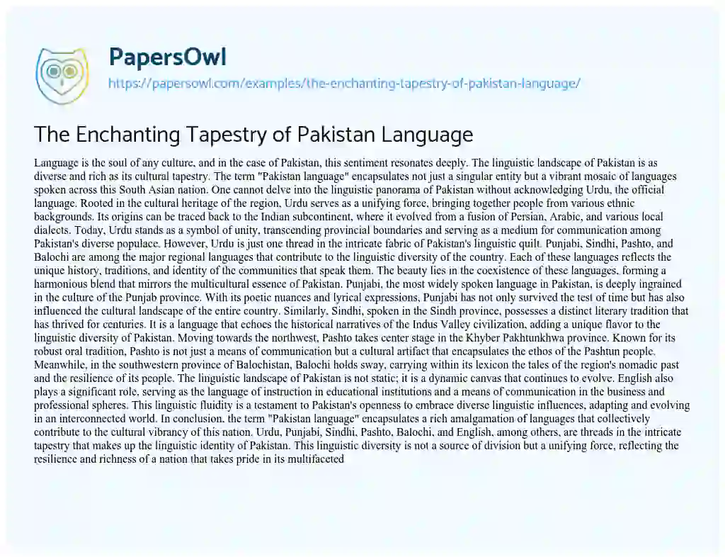 Essay on The Enchanting Tapestry of Pakistan Language