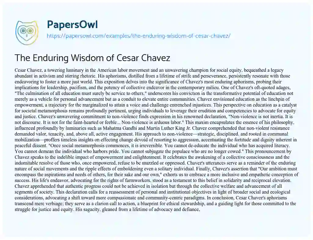 Essay on The Enduring Wisdom of Cesar Chavez