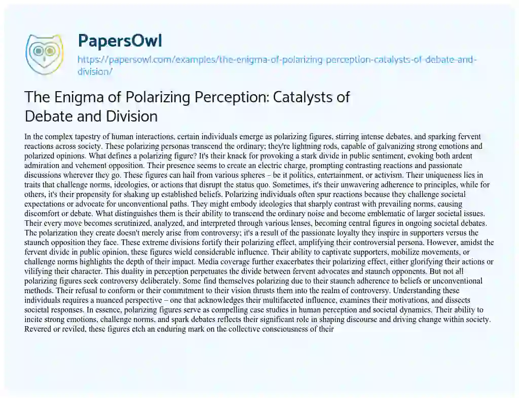 Essay on The Enigma of Polarizing Perception: Catalysts of Debate and Division