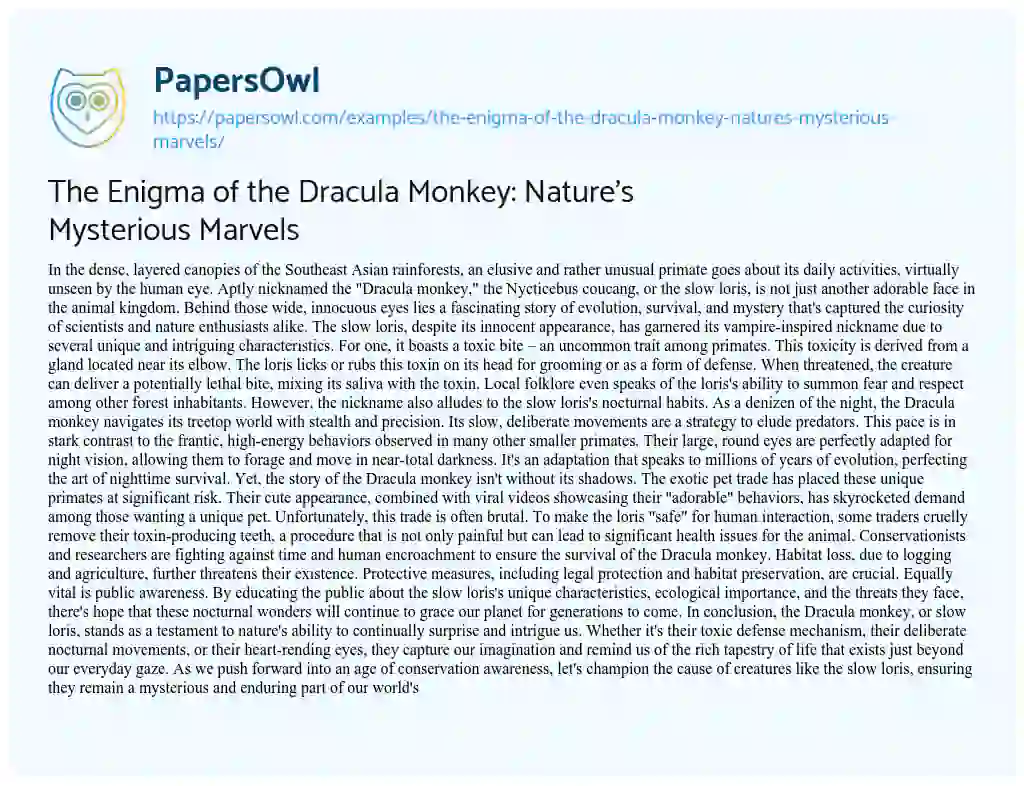 Essay on The Enigma of the Dracula Monkey: Nature’s Mysterious Marvels