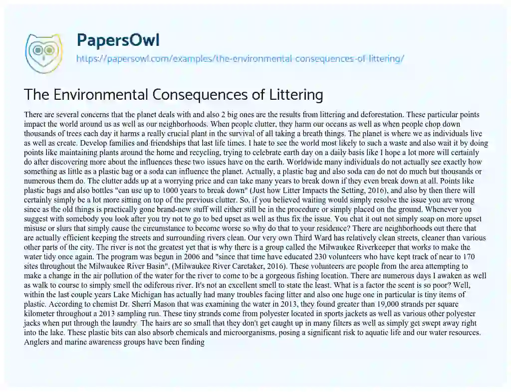 Essay on The Environmental Consequences of Littering