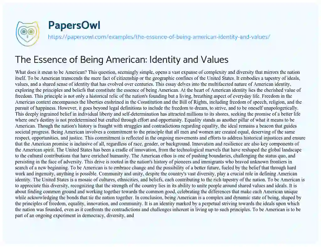 Essay on The Essence of being American: Identity and Values