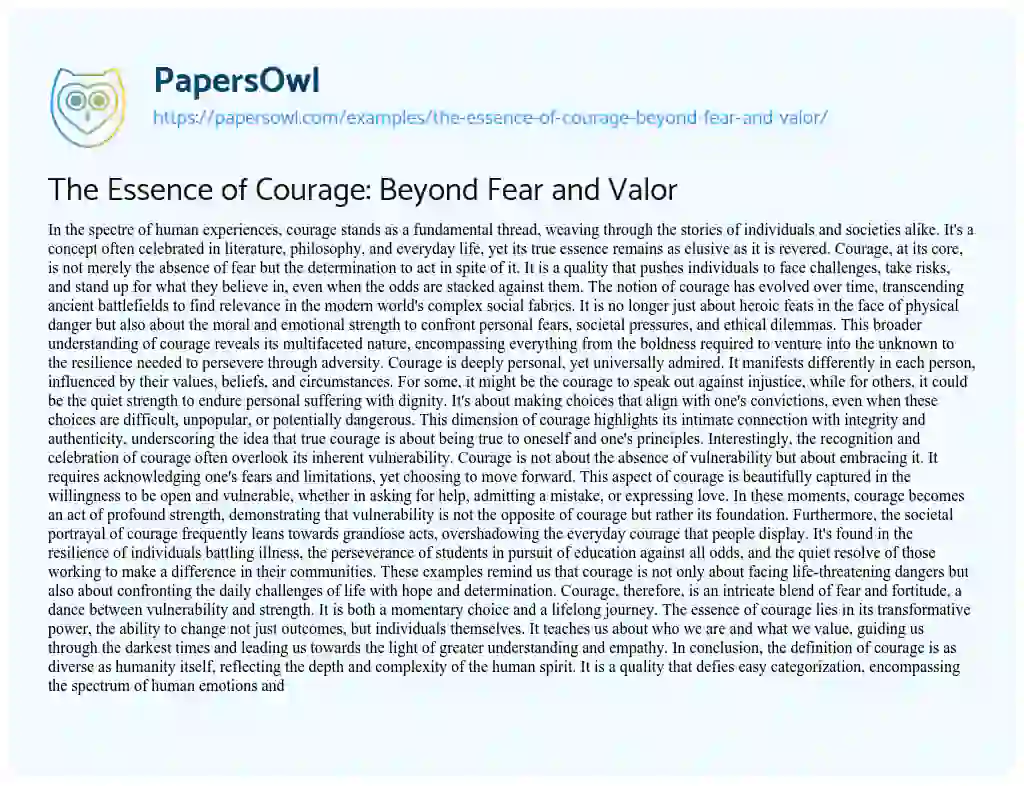 Essay on The Essence of Courage: Beyond Fear and Valor