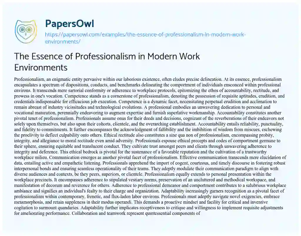 Essay on The Essence of Professionalism in Modern Work Environments