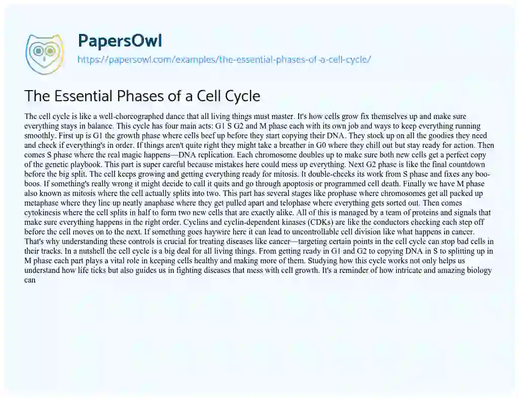 Essay on The Essential Phases of a Cell Cycle