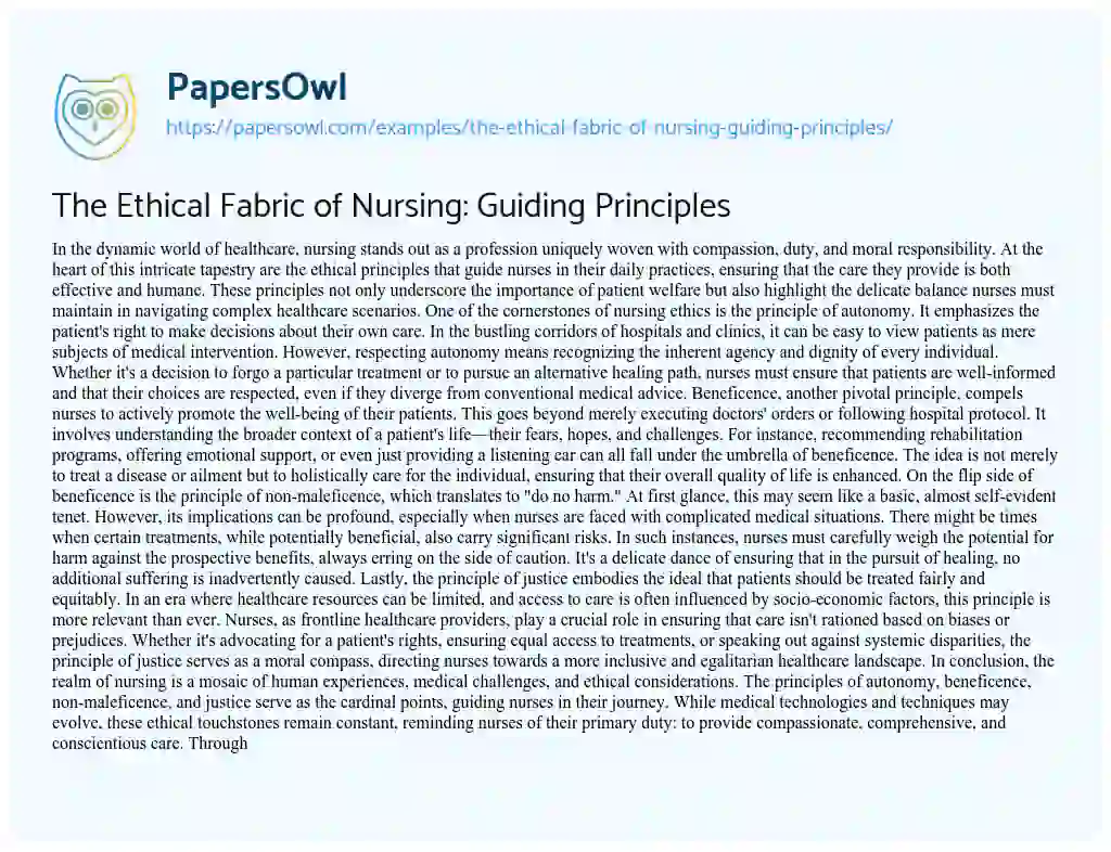 Essay on The Ethical Fabric of Nursing: Guiding Principles