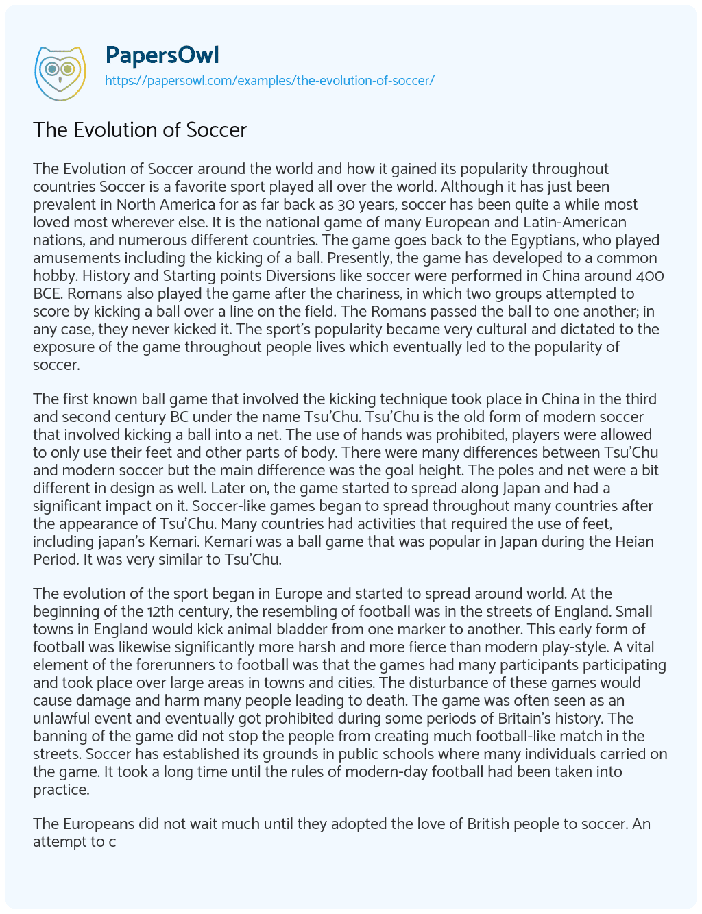 personal essay about soccer