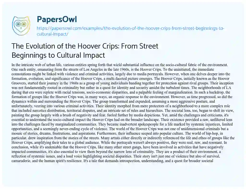Essay on The Evolution of the Hoover Crips: from Street Beginnings to Cultural Impact