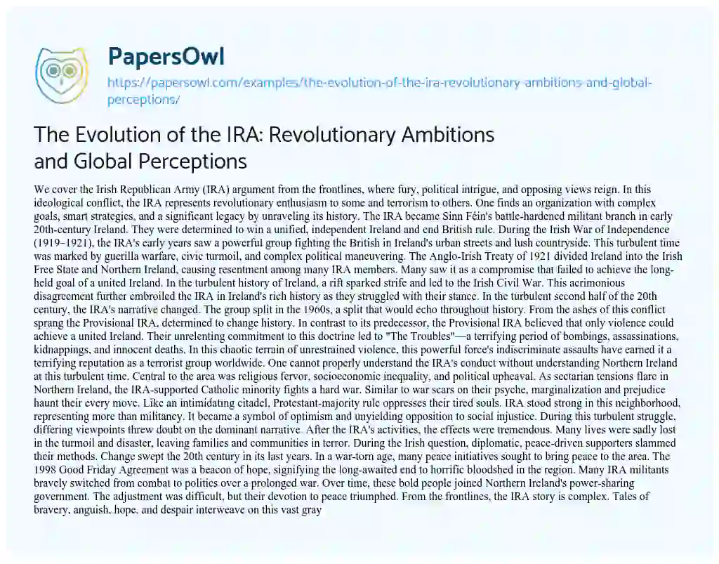 Essay on The Evolution of the IRA: Revolutionary Ambitions and Global Perceptions