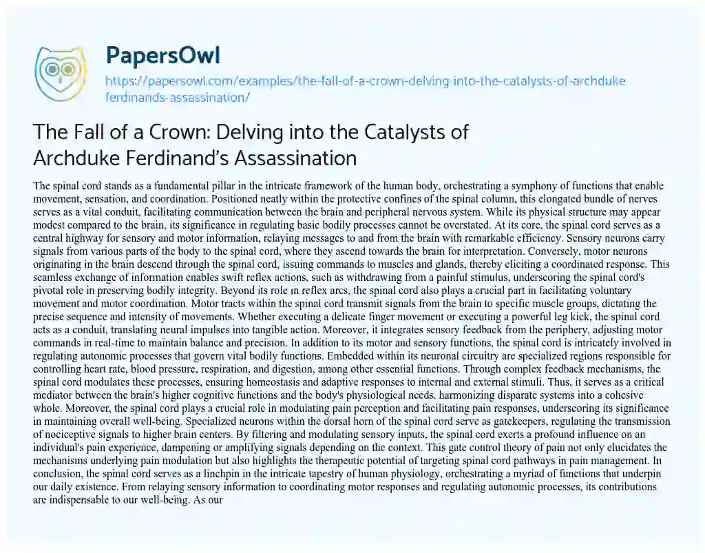 Essay on The Fall of a Crown: Delving into the Catalysts of Archduke Ferdinand’s Assassination