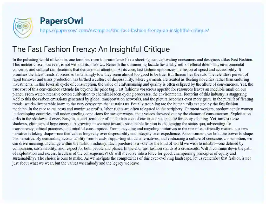 Essay on The Fast Fashion Frenzy: an Insightful Critique