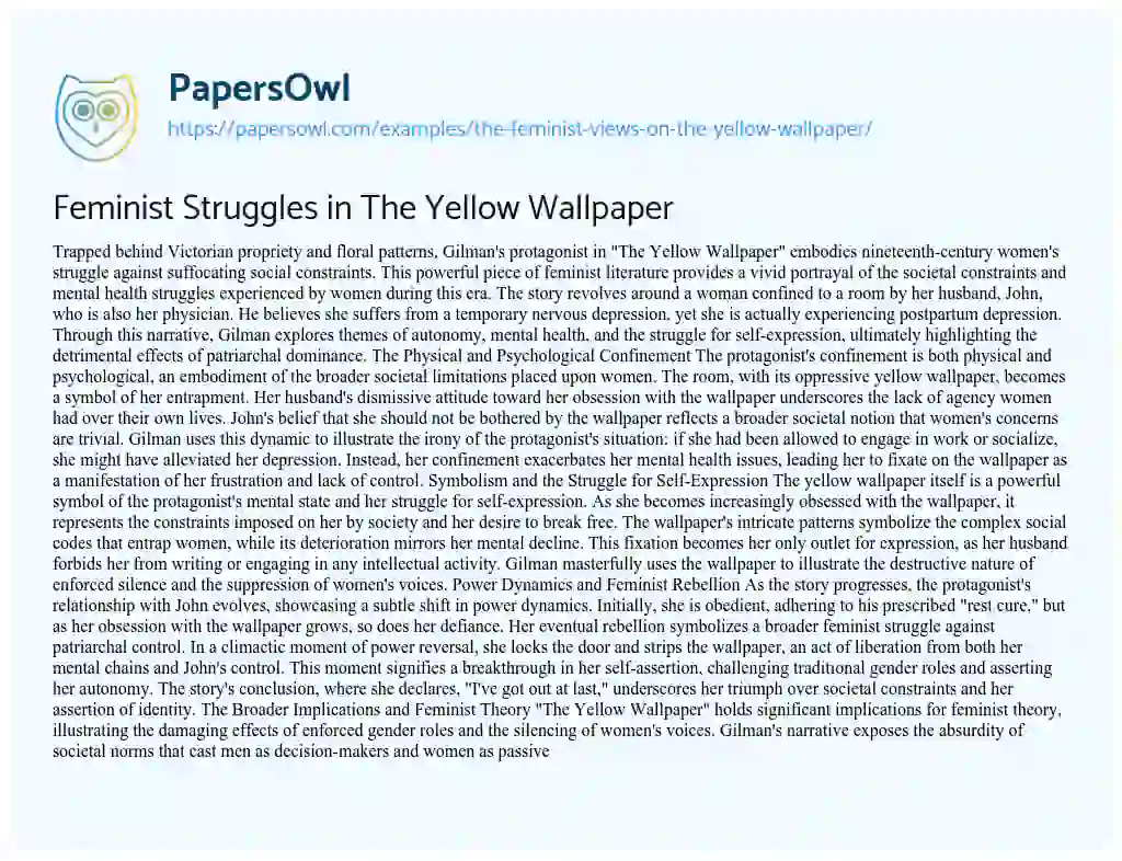 Essay on The Feminist Views on the Yellow Wallpaper