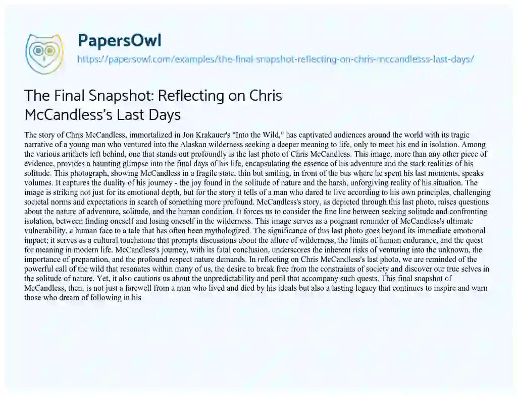 Essay on The Final Snapshot: Reflecting on Chris McCandless’s Last Days