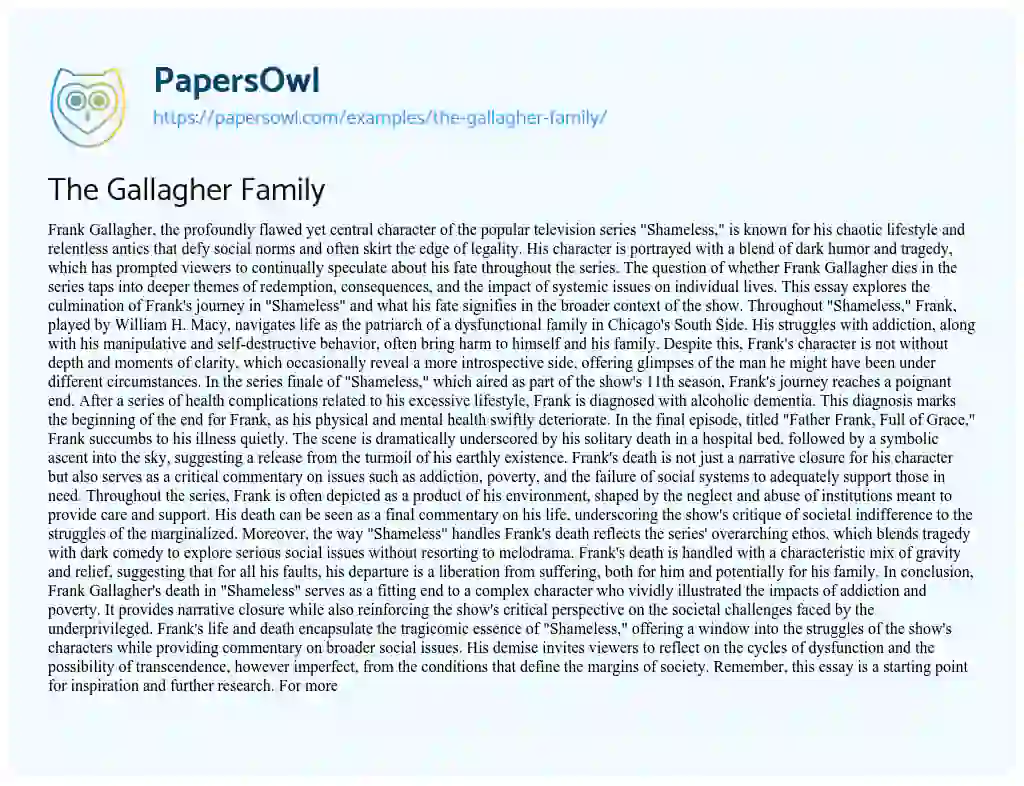 Essay on The Gallagher Family