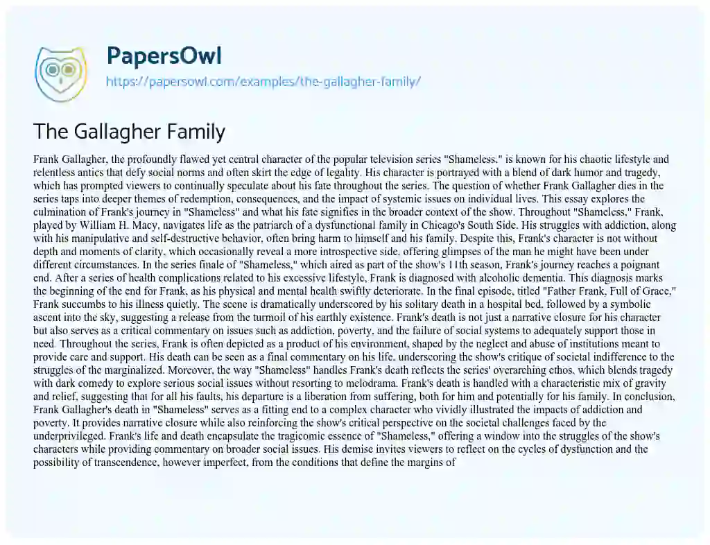 Essay on The Gallagher Family