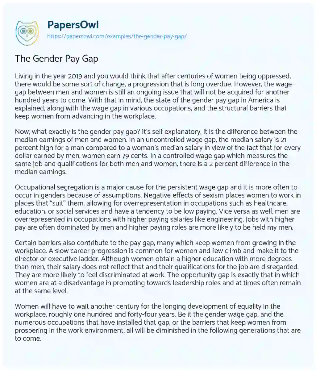 Essay on The Gender Pay Gap