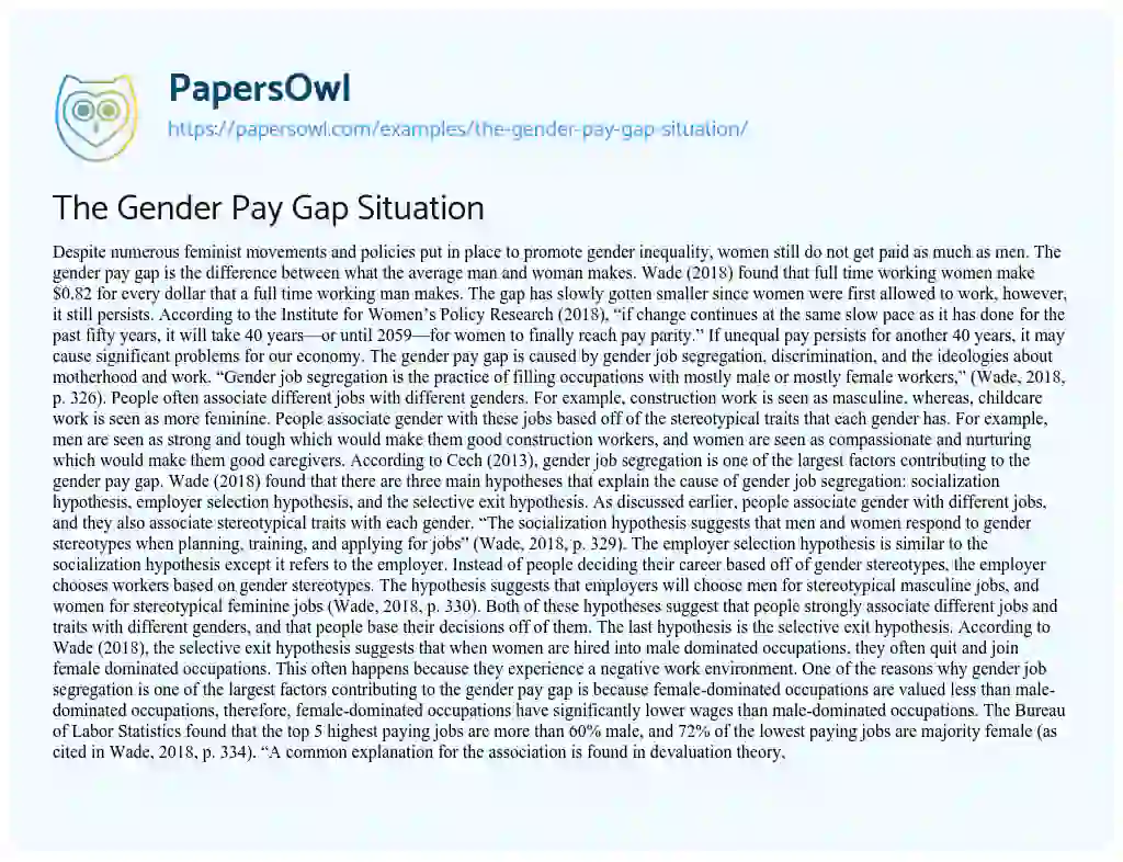 Essay on The Gender Pay Gap Situation